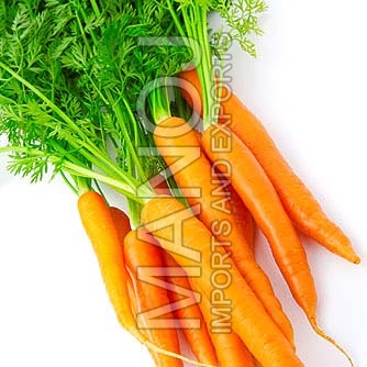 Fresh carrot, Quality Available : A Grade