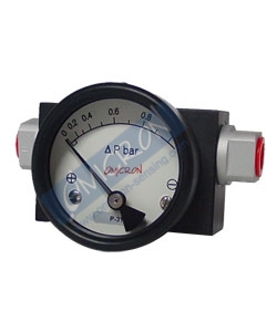 DPG2 : DIFFERENTIAL PRESSURE GAUGE WITH SWITCH