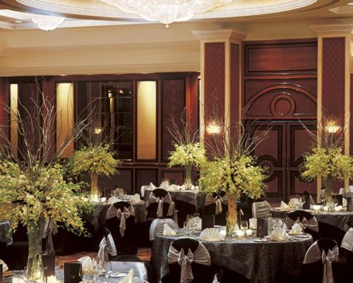 Plain Chiffon Lycra Chair Cover, Technics : Attractive Pattern