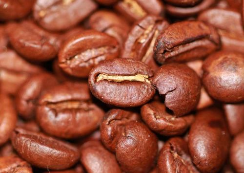 Robusta coffee beans, Shelf Life : 6-12 Months