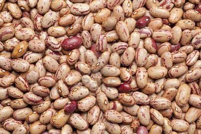 Pinto Kidney Beans