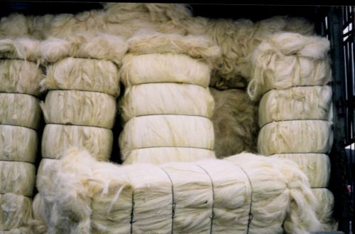 Natural Sisal Fiber