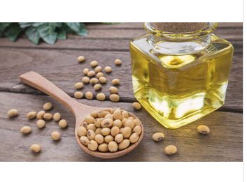 Refined Soybean Oil