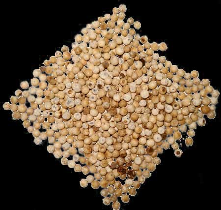 White Pepper