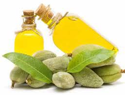 Edible oil, Shelf Life : 12 Months