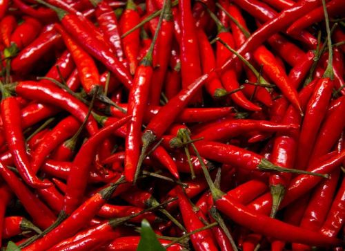 Fresh Red Chilli, Style : Fresh
