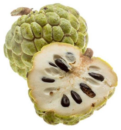 Fresh Custard Apple