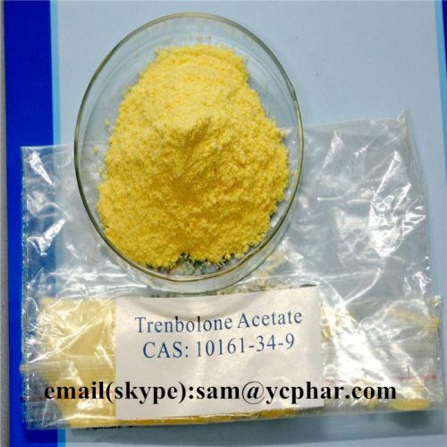 Trenbolone Acetate, Packaging Size : 1ml