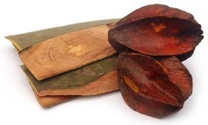 Arjuna Herb, Grade : Medicine Grade