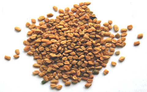 NT Fenugreek Powder, Packaging Type : Bags