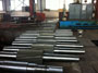 Pinion Shafts