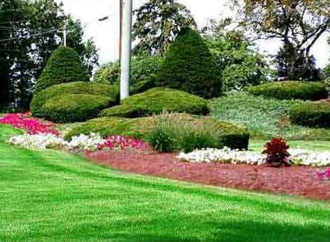 Landscape Development Services