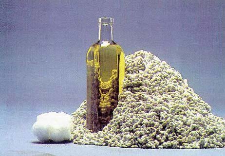 Cottonseed Oil, Cultivation Type : Organic