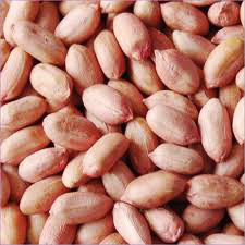 Groundnut, Origin : Harvested From Peanut Plants