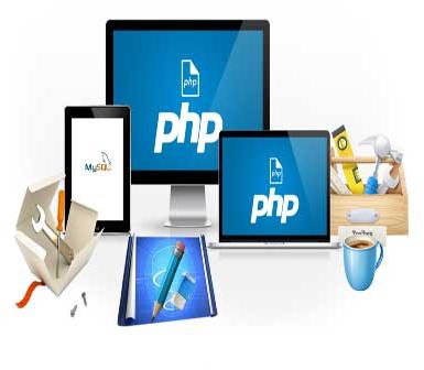 Professional Web Design & Development Service