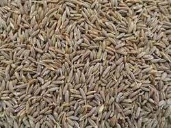 Cumin seeds, Application : Cooking