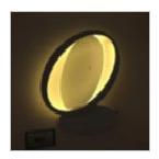 LED Wall Lights, Emitting Color : WARM WHITE