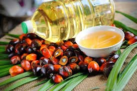 RBD Palm Oil