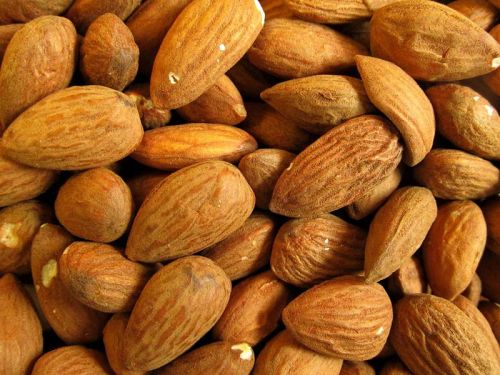 Roasted Salted Almond