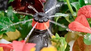 Drip Irrigation System