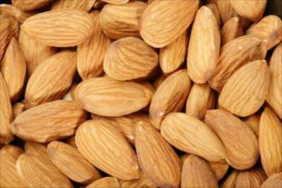 Hard Common Almond Kernels, Style : Dried