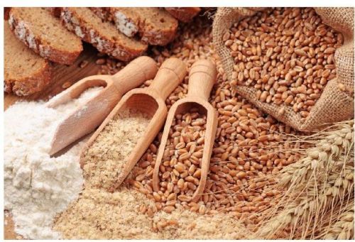 Wheat, Broken Ratio : 1-3%