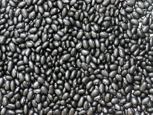 Black Kidney Beans