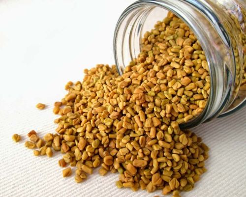 Fenugreek Seeds