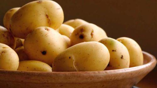 Potato, Country of Origin : India