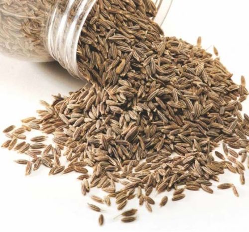 Cumin Seeds, For Cooking, Style : Dried