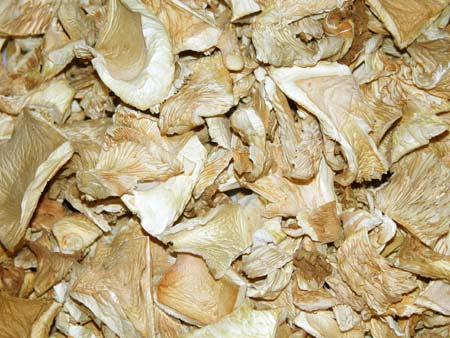 Dried Oyster Mushroom