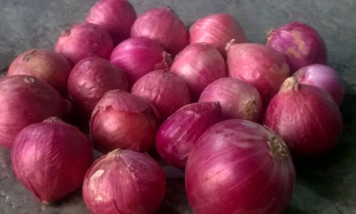 Fresh Red Onion