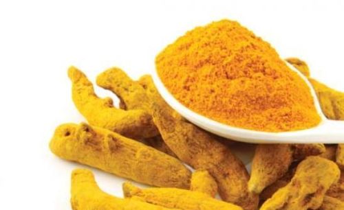 Novel Nutrients Turmeric Extract