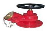 Fire Hydrant Valves