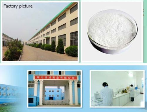 Dexamethasone Sodium Phosphate