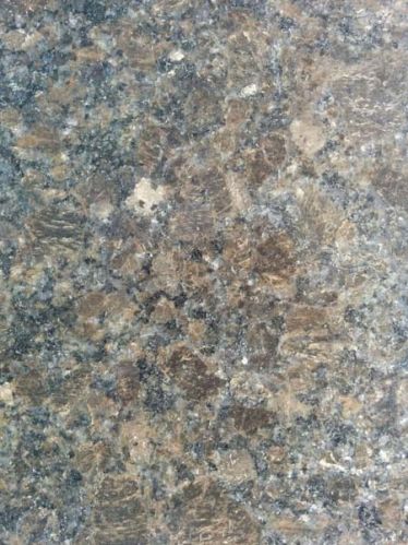 Coffee Brown Granite Slabs