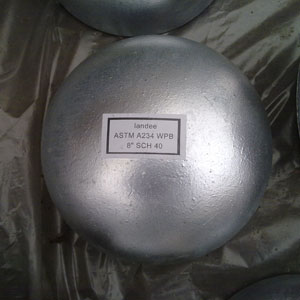 Galvanized Pipe Cap, Brand Name : Landee