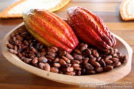 Cocoa beans, Number Of Flower : Food