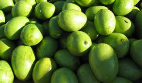 Organic Amra Fruit, Feature : Good For Health, Good For Nutritions, Non Harmful