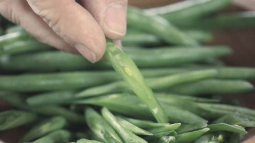 Organic Fresh French Beans, For Cooking, Feature : Good For Health, High In Protein