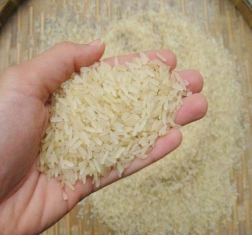 Organic Parboiled Rice, For Cooking, Feature : Good For Health, Good In Taste