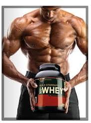Gold Standard Optimum Nutritive Whey Protein