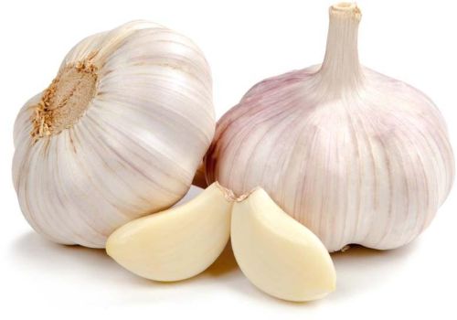 Fresh garlic, Number Of Flower : Vegetable