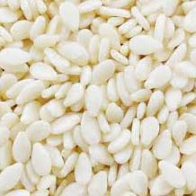 White sesame seeds, Packaging Size : 1kg