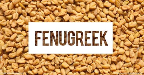 Fenugreek Seeds