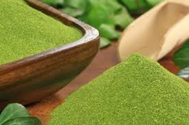 Moringa Powder, Grade : Food Grade