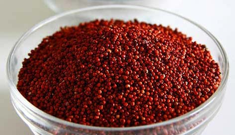 Organic Ragi Seeds, For Agriculture, Cooking, Food, Medicinal, Purity : 98%