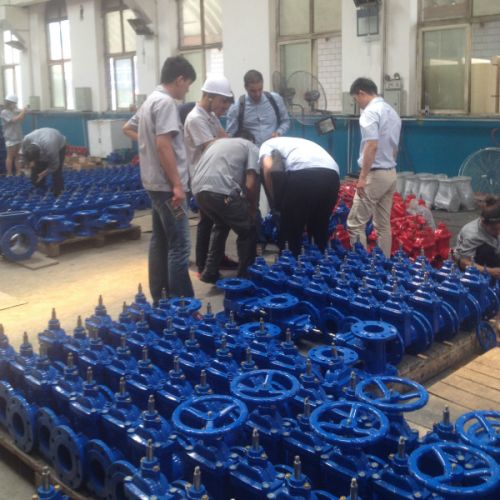 Din Cast Iron Gate Valve F4/f5 DN40-DN600