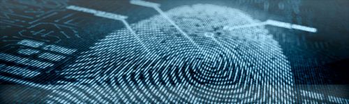 Security Audits & Consultancy