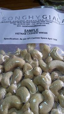 Cashew nuts, Color : Creamy
